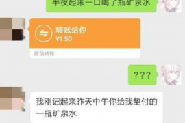 芷江为什么选择专业追讨公司来处理您的债务纠纷？